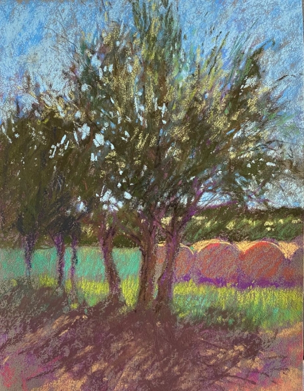 That Midday Sun by artist julia fletcher